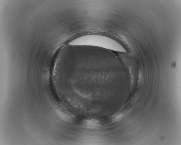 X0000089880500200707262212