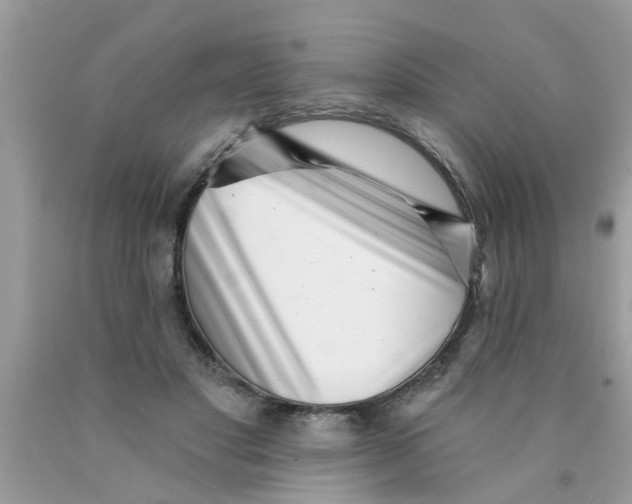 X0000089880501200707262212