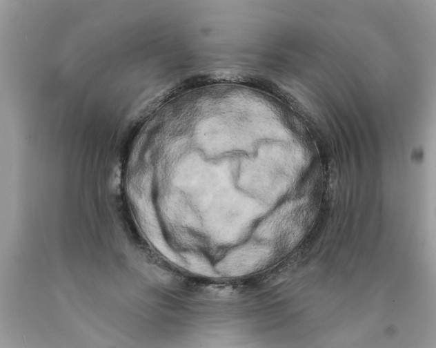 X0000089880502200707262212