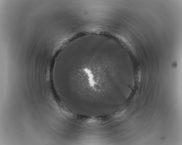 X0000089880504200707262212