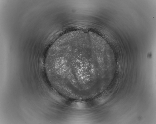 X0000089880506200707262212