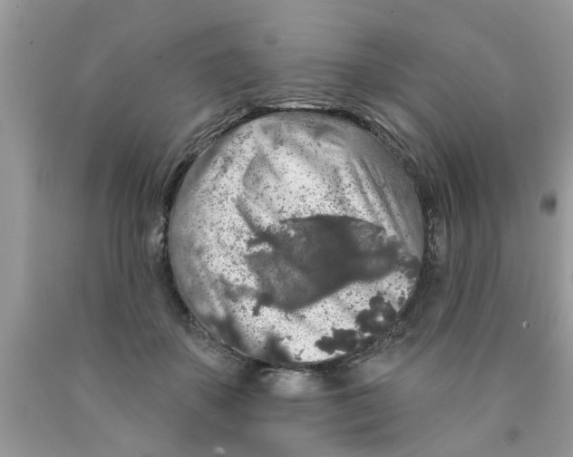 X0000089880507200707262212