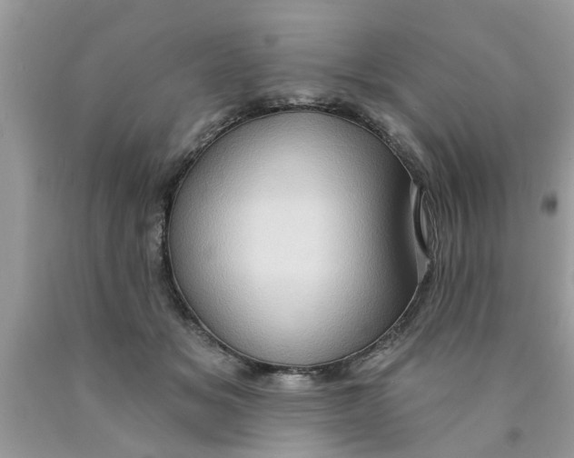 X0000089880509200707262212