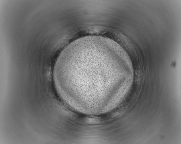 X0000089880510200707262212