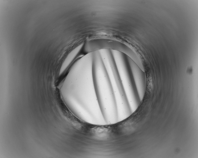 X0000089880512200707262212