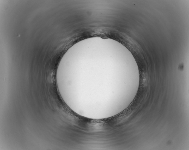 X0000089880514200707262212