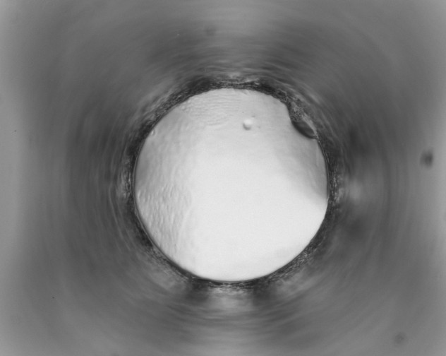 X0000089880515200707262212