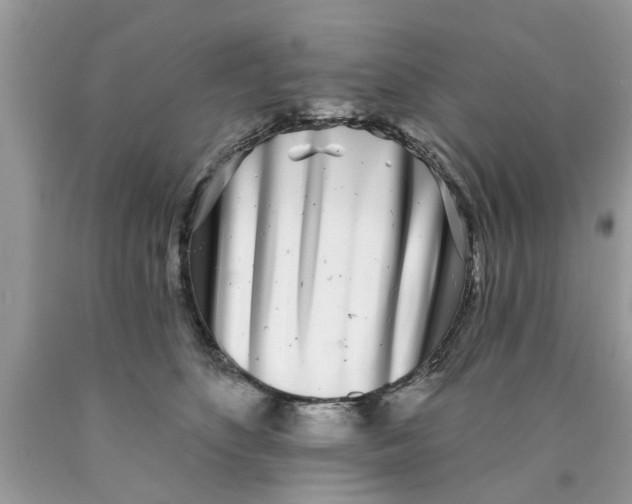 X0000089880516200707262212