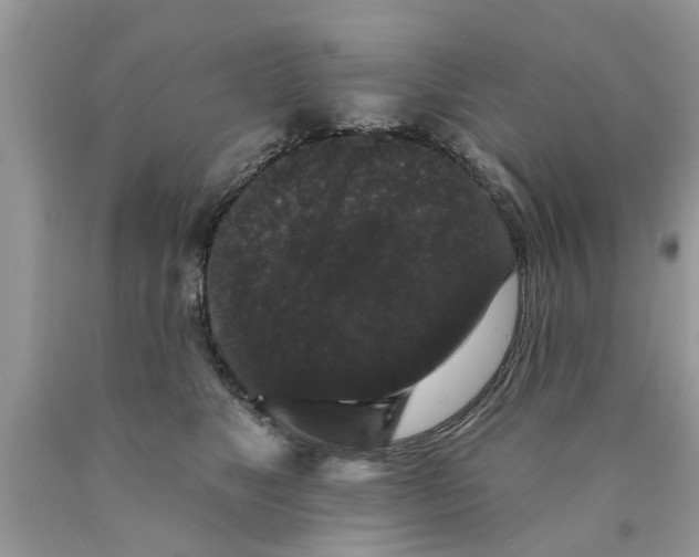 X0000089880517200707262212