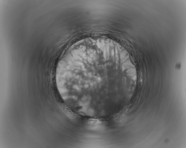 X0000089880519200707262212