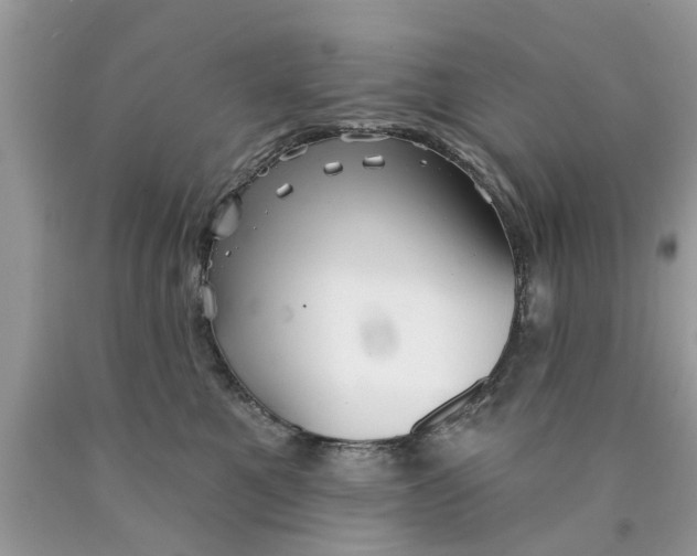 X0000089880521200707262212