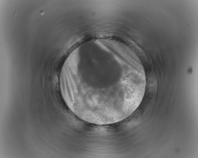 X0000089880523200707262212