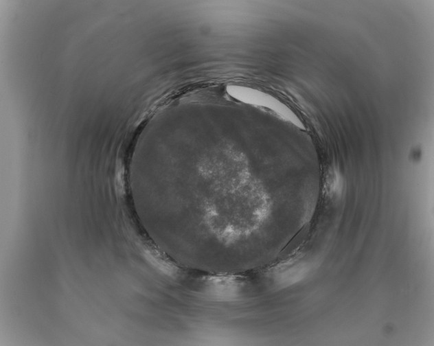 X0000089880524200707262212