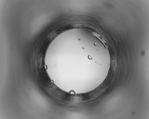 X0000089880525200707262212