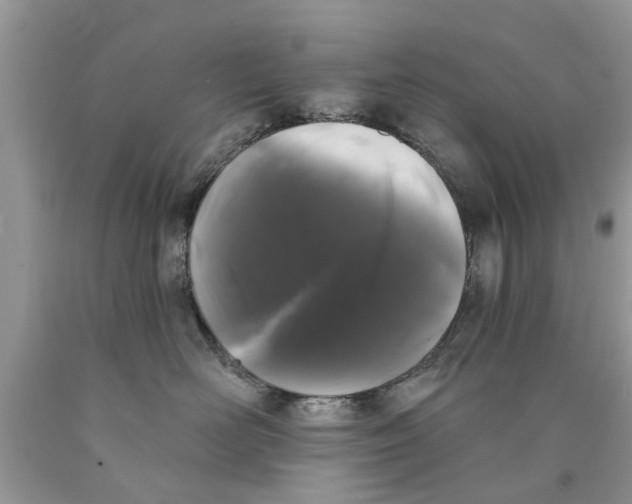 X0000089880526200707262212