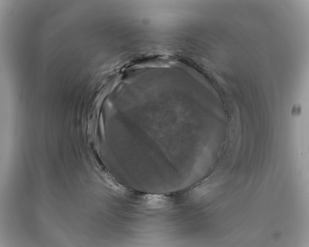 X0000089880528200707262212