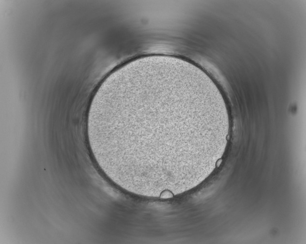 X0000089880529200707262211