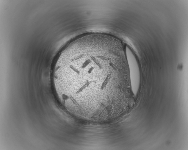 X0000089880531200707262211