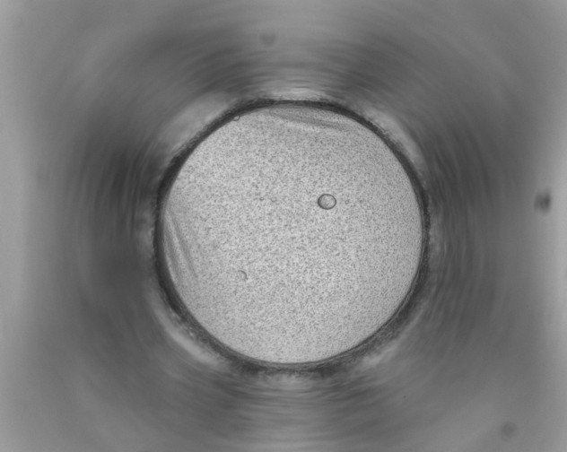 X0000089880533200707262211