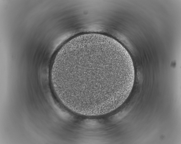 X0000089880534200707262211