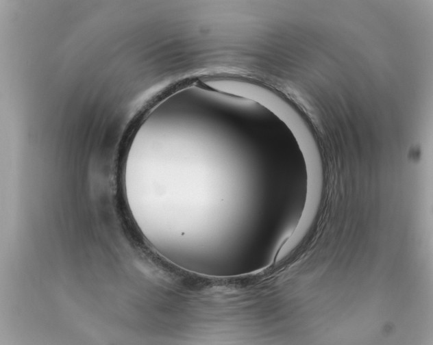 X0000089880536200707262211