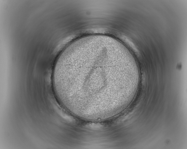 X0000089880537200707262211