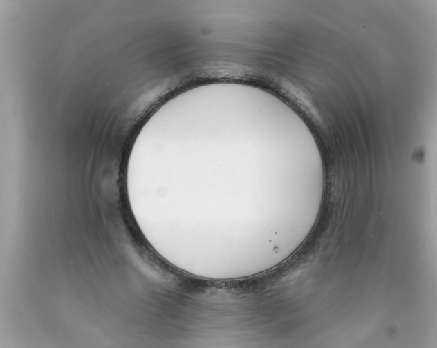 X0000089880538200707262211