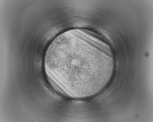 X0000089880539200707262211