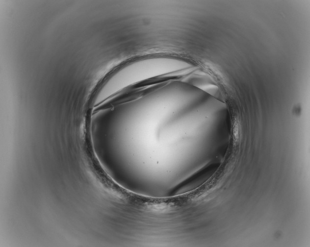 X0000089880540200707262211