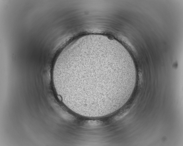 X0000089880541200707262211