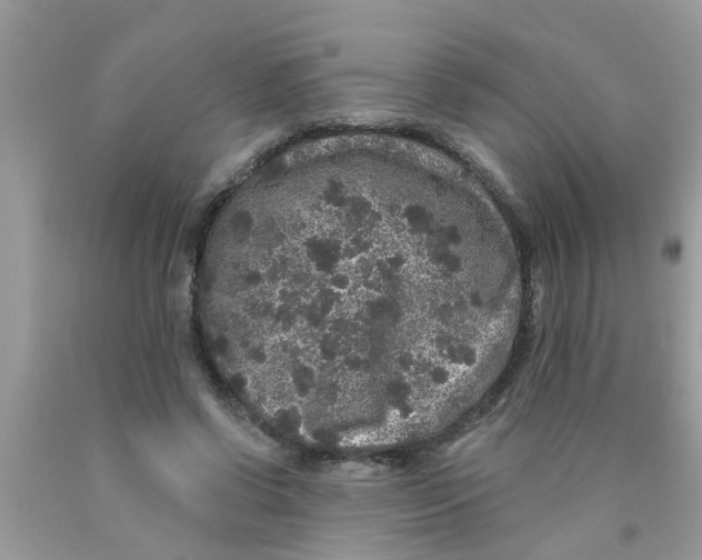 X0000089880542200707262211