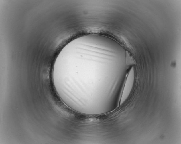 X0000089880543200707262211