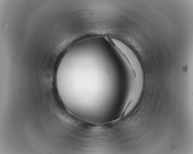 X0000089880544200707262211