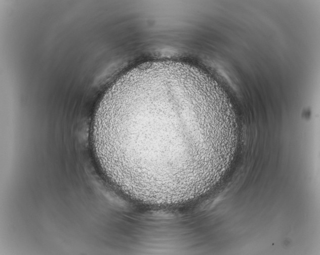 X0000089880545200707262211