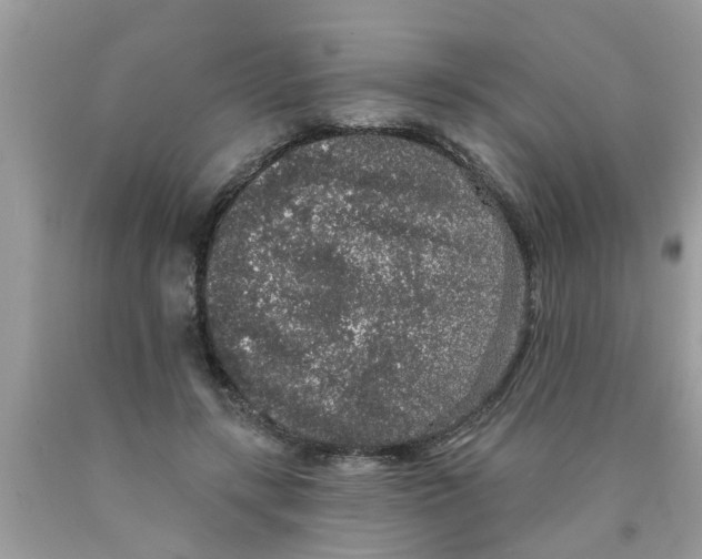 X0000089880547200707262211