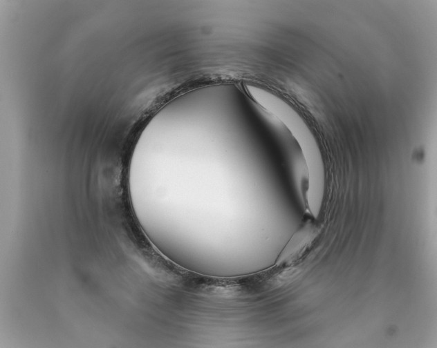 X0000089880548200707262211