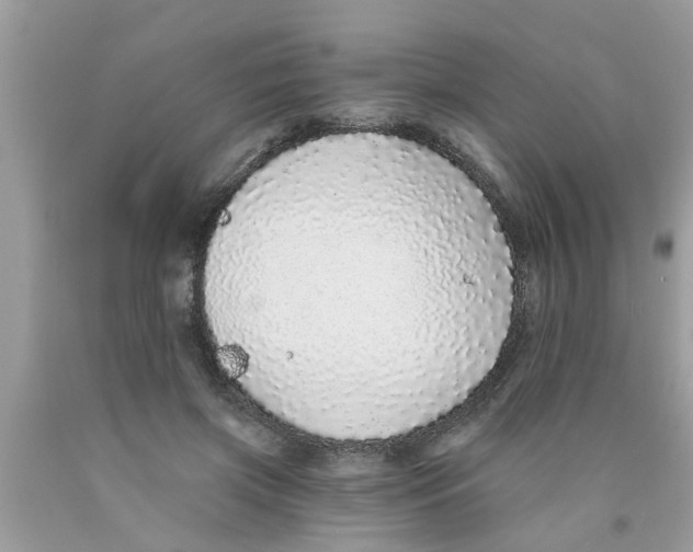 X0000089880549200707262211