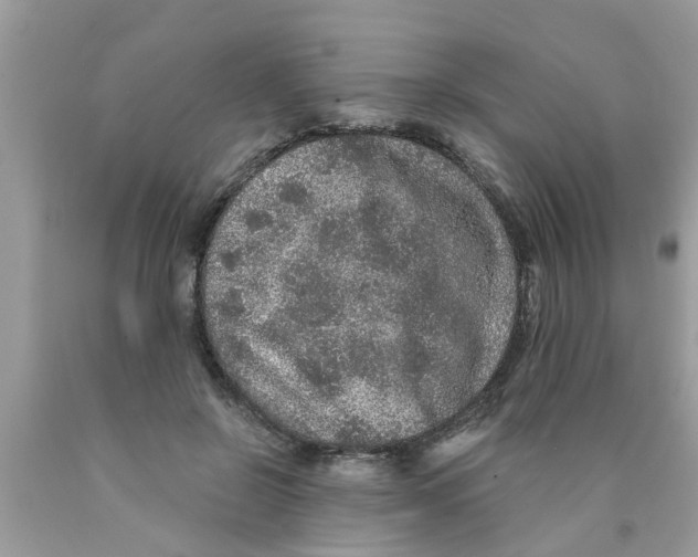 X0000089880550200707262211