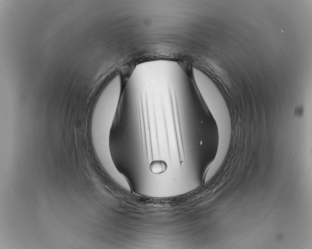 X0000089880552200707262212