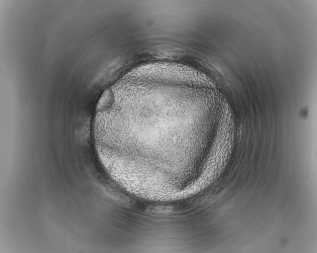 X0000089880554200707262212