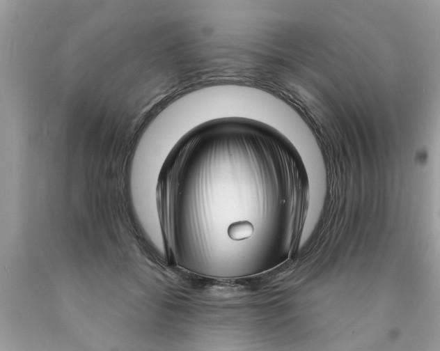 X0000089880556200707262212