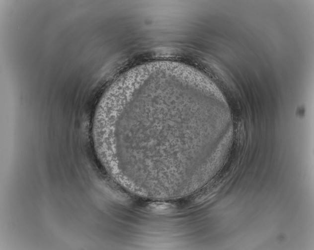 X0000089880557200707262212