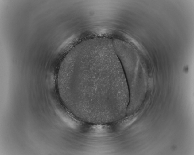 X0000089880558200707262212