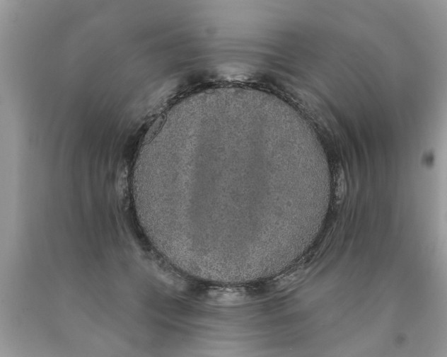 X0000089880559200707262212