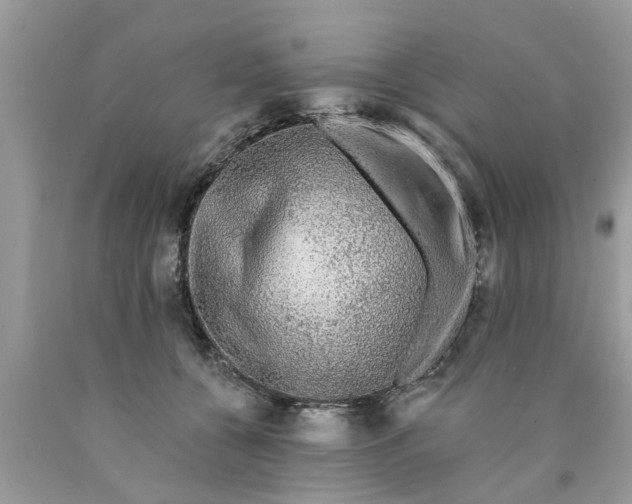 X0000089880560200707262212