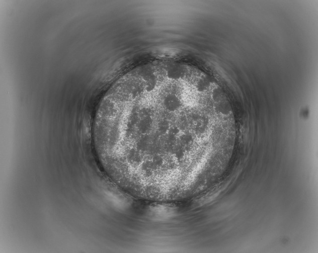 X0000089880561200707262212