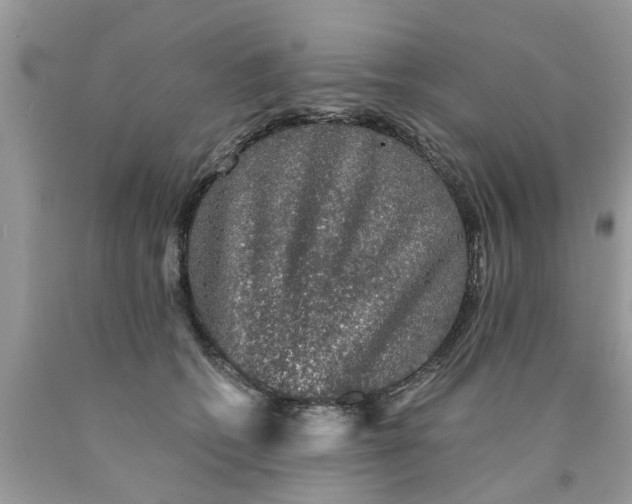 X0000089880562200707262212