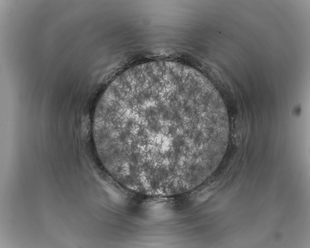 X0000089880563200707262212