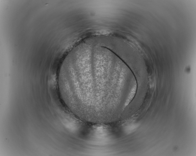 X0000089880564200707262212