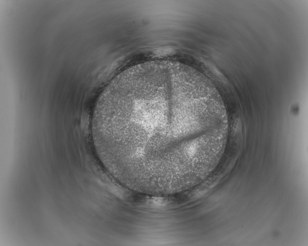 X0000089880565200707262212